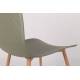 Lot de 2 Chaises Design Léon Assises Woody de Table en Acier et Plastique Vert 44,5x49x80cm