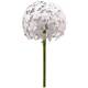 Fleur d'Allium sur Tige Décoration Florale pour Jardin Massif ou Pot de Fleur en Métal Patiné Blanc 16x16x111cm