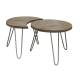 Table Basse Modulable Marque Hinsk Consoles d'Appoint Bout de Canapé 2 Pièces en Acier et Bois 45x60x96cm