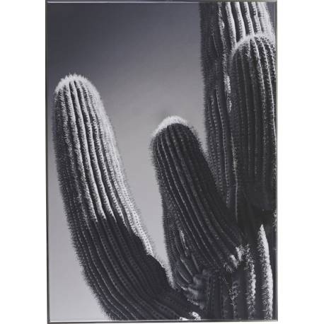 Tableau Cactus Athezza Impression sur Toile Brillante Décoration Murale 100x140cm