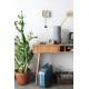 Table Console Barbier Bureau Zuiver Bois Naturel 35x74x120cm