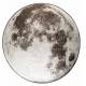 Tapis Outdoor Moon Rond Gris Pierre Zuiver Carpette de Salon en Tissu 2 Tailles