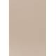 Lot de 2 Chaises Clive Marron Clair Woody Assises de Table en Polypropylène 47x48x79cm