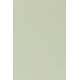 Lot de 2 Chaises Clive Vert Clair Woody Assises de Table en Polypropylène 47x48x79cm