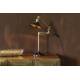Lampe Murale Penelope Noir Dutchbone Applique Murale Eclairage en Métal Noir et Couleur Laitonnée 19x19x60cm