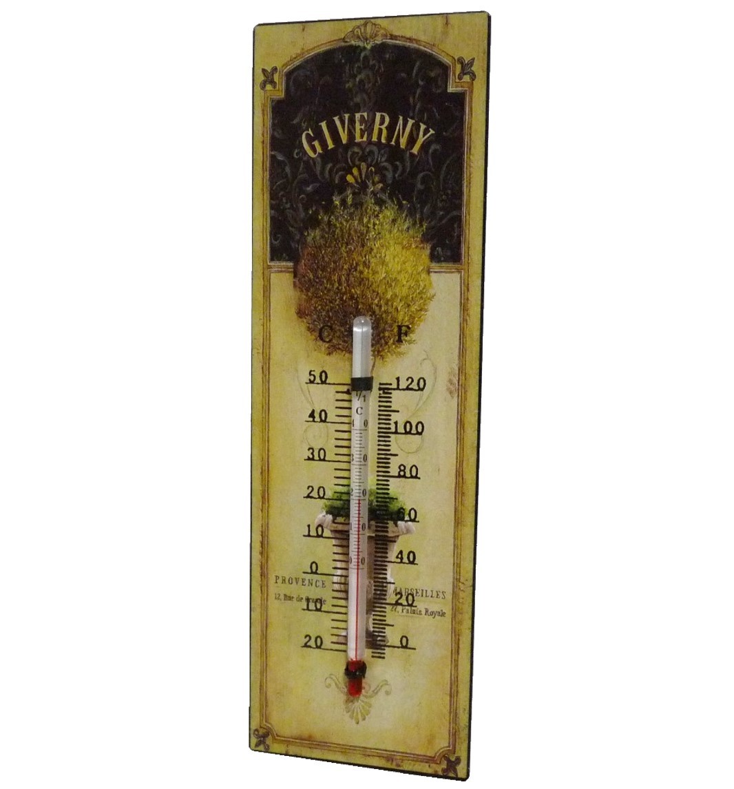 L'Héritier Du Temps Thermomètre Mural Décoratif Floral - Double Échelle °C / °F En Fer Et Papier Vernis