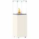 Chauffage Extérieur Néocube-O Actuel Patio Acier et Verre Cheminée Gaz Braséro Terrasse 42,8x42,8x143,1cm