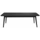 Table Basse Fabio Noir Woody Table d'Appoint Rectangulaire Console de Salon en Bois de Frêne Noir 40x60x120cm