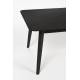 Table Basse Fabio Noir Woody Table d'Appoint Rectangulaire Console de Salon en Bois de Frêne Noir 40x60x120cm