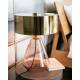 Lampe de Table Verano Rose Pâle Athezza Luminaire à Poser Eclairage en Verre Teinté Rose Pâle et Laiton Brillant 29x29x38cm