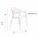 Lot de 2 Assises Westlake Dutchbone Chaises de Salle à Manger Fauteuils en Bois de Hêtre Finition Noire 52x58x76cm