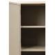 Cabinet Amaya Woody Armoire Bois, Rotin Métal Meuble de Rangement 2 Portes Bahut 38x80x100cm
