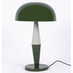 Lampe de Bureau Waimea Athezza Lampe à Poser en Métal Vert d'Eau et Vert Amande Luminaire Design 34x34x54cm