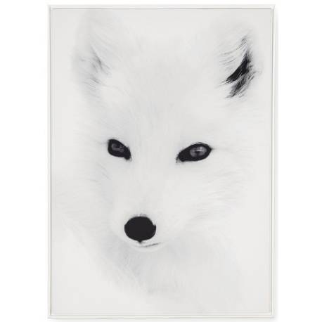 Tableau Tête de Renard Athezza Impression sur Toile en Noir et Blanc Décoration Murale 4x104x144cm