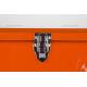 Glacière Portable Be Cute Zuiver Orange en Polypropylène Format Compact Pique-Nique 25x32x32,5cm