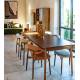 Table de Repas Kassel Athezza Table à Manger Rectangulaire Extensible Table avec Rallonge 75x90x220-310cm