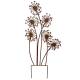 Treillage Roseaux Tuteur Pic de Jardin Treillis Motifs 9 Roseaux et Libellule en Métal Gris 4,5x28x91cm