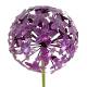 Fleur d'Allium sur Tige Décoration Florale pour Jardin Massif ou Pot de Fleur en Acier Coloré Vert et Violet 16x16x111cm