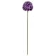 Fleur d'Allium sur Tige Décoration Florale pour Jardin Massif ou Pot de Fleur en Acier Coloré Vert et Violet 20x20x116cm