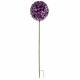 Fleur d'Allium sur Tige Décoration Florale pour Jardin Massif ou Pot de Fleur en Acier Coloré Vert et Violet 30x30x137cm