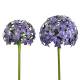 Fleur d'Allium sur Tige Décoration Florale pour Jardin Massif ou Pot de Fleur en Acier Coloré Vert et Bleu-Violet 20x20x116cm