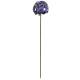 Fleur d'Allium sur Tige Décoration Florale pour Jardin Massif ou Pot de Fleur en Acier Coloré Vert et Bleu-Violet 20x20x116cm
