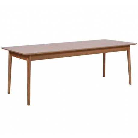 Table de Repas Kassel Athezza Table à Manger Rectangulaire Extensible Table avec Rallonge 75x90x220-310cm