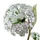 Décoration de Jardin Fleurs d'Hortensias en Acier Décoration sur Tige Patinée Verte et Blanc Tuteur 17x26x110cm