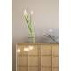 Vaisselier Raster Zuiver Meuble Haut en Bois Naturel Armoire Style Scandinave 45x100x120cm