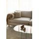 Table Basse Linea Zuiver Table de Salon Ovale en Verre Fumé Transparent Mobilier Graphique et Design 40x60x80cm