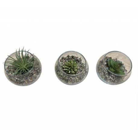 Trio de Plantes Artificielles Lot de 3 Plantes Synthétiques Pots en Verre Ensemble de Succulentes