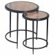 Duo de Desserte Igloo Signature Tables d'Appoint de Salon Gigognes en Acier et Verre Fumé 44x44x53cm