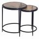 Duo de Desserte Igloo Signature Tables d'Appoint de Salon Gigognes en Acier et Verre Fumé 44x44x53cm
