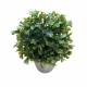 Lot de 4 Fausses Plantes Ensemble de 4 Pots de Fleurs Décoratives en Plastique Plantes Artificielles