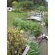 Passerelle de Jardin en Acier Patiné Blanc Fonctionnelle Pont extérieur de Jardin pour Ruisseau85x92x185cm