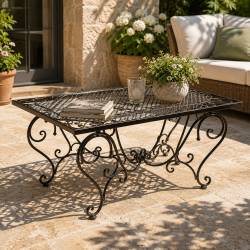 Table Basse Papillon Rectangulaire Acier Marron Desserte Table d'Appoint Pliable de Jardin 50x56x85cm