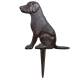 Chien Bandit en Fonte à Piquer Statue Animale Patinée Marron Décoration de Jardin sur Pic 0,6x22x31,5cm