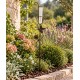 Pluviomètre à Piquer Tuteur Plante Décoration de Jardin Motif Colibri en Fer Patiné et Tube en Verre 6,5x15,5x107cm
